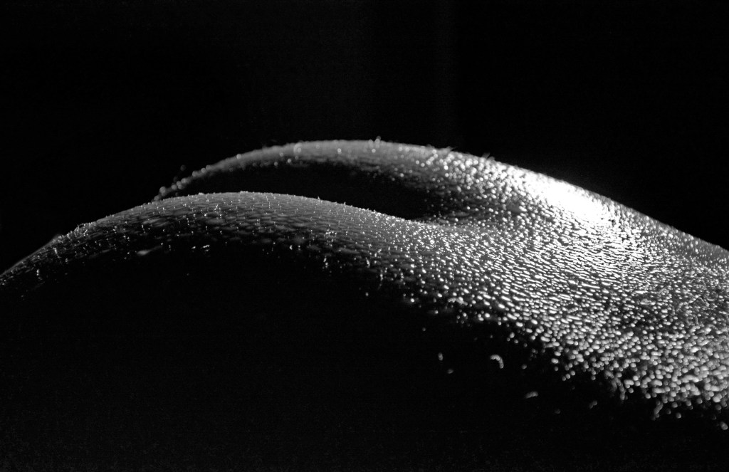 That only encouraged him to go faster. His thighs slapped my cheeks, echoing across the walls, as he pounded into my ass, fucking it – fucking me – like he was a crazed animal. I could barely catch my breath, and as I shouted “Oooooh!” it vibrated to his thrusts. Every muscle in my body&nbsp;tightened.